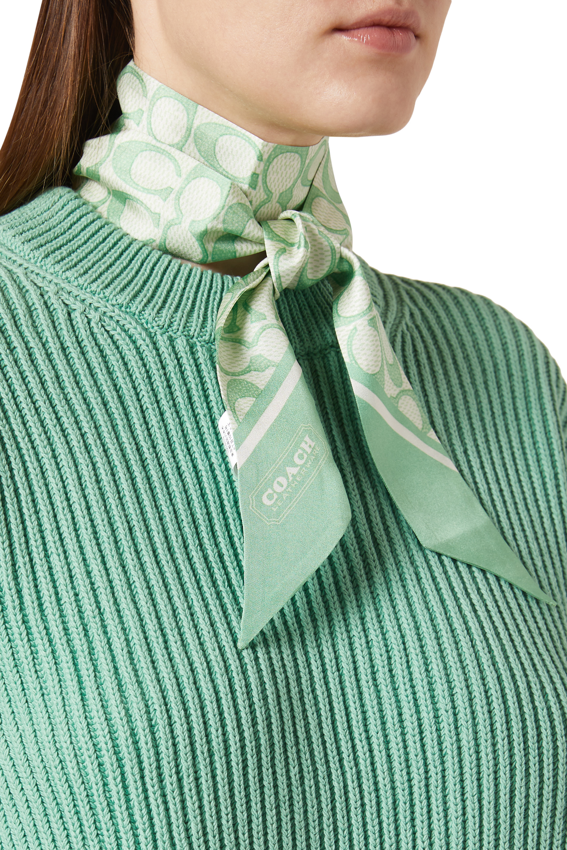 وشاح كلاسيكي بطبعات شعار الماركة حرير