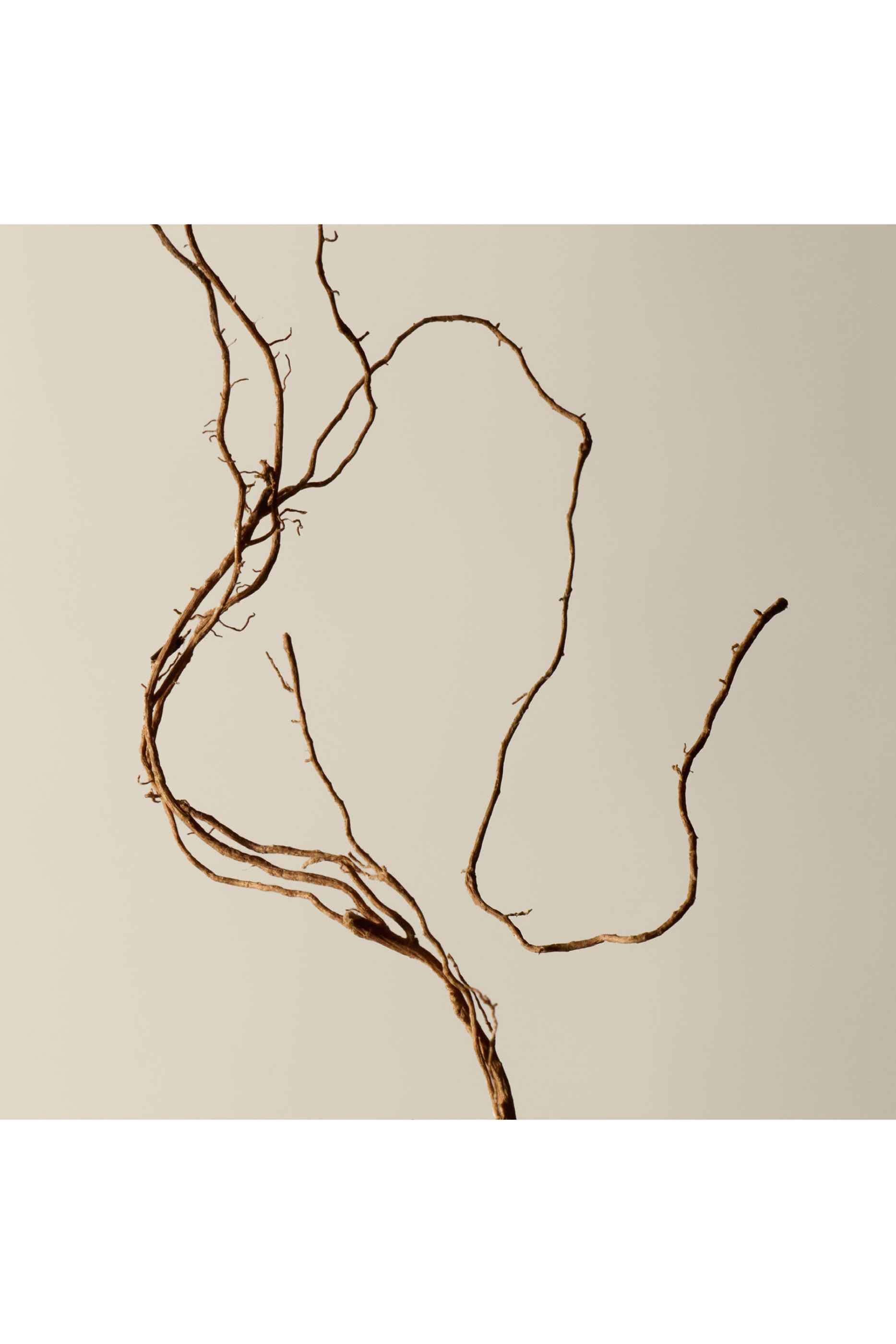 مرطب ريفرينس المعطر لليدين