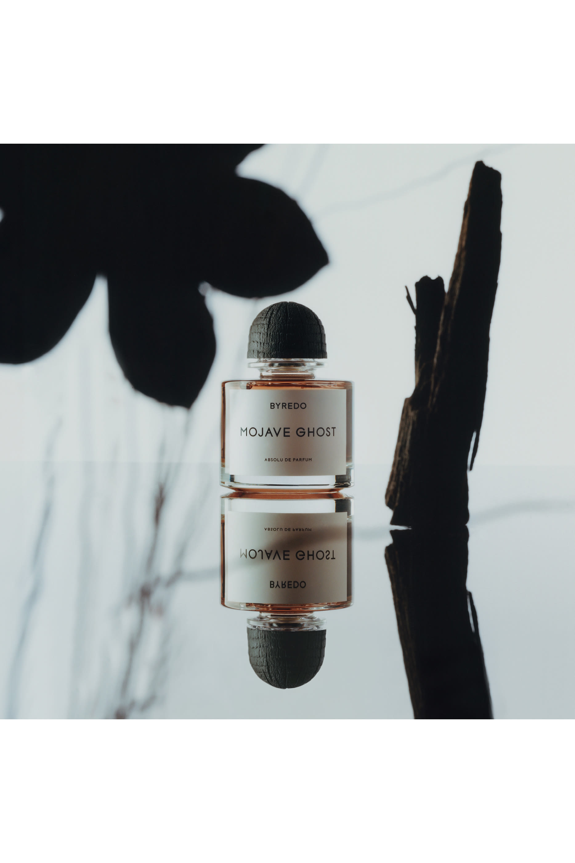 عطر موهافي غوست أبسولو