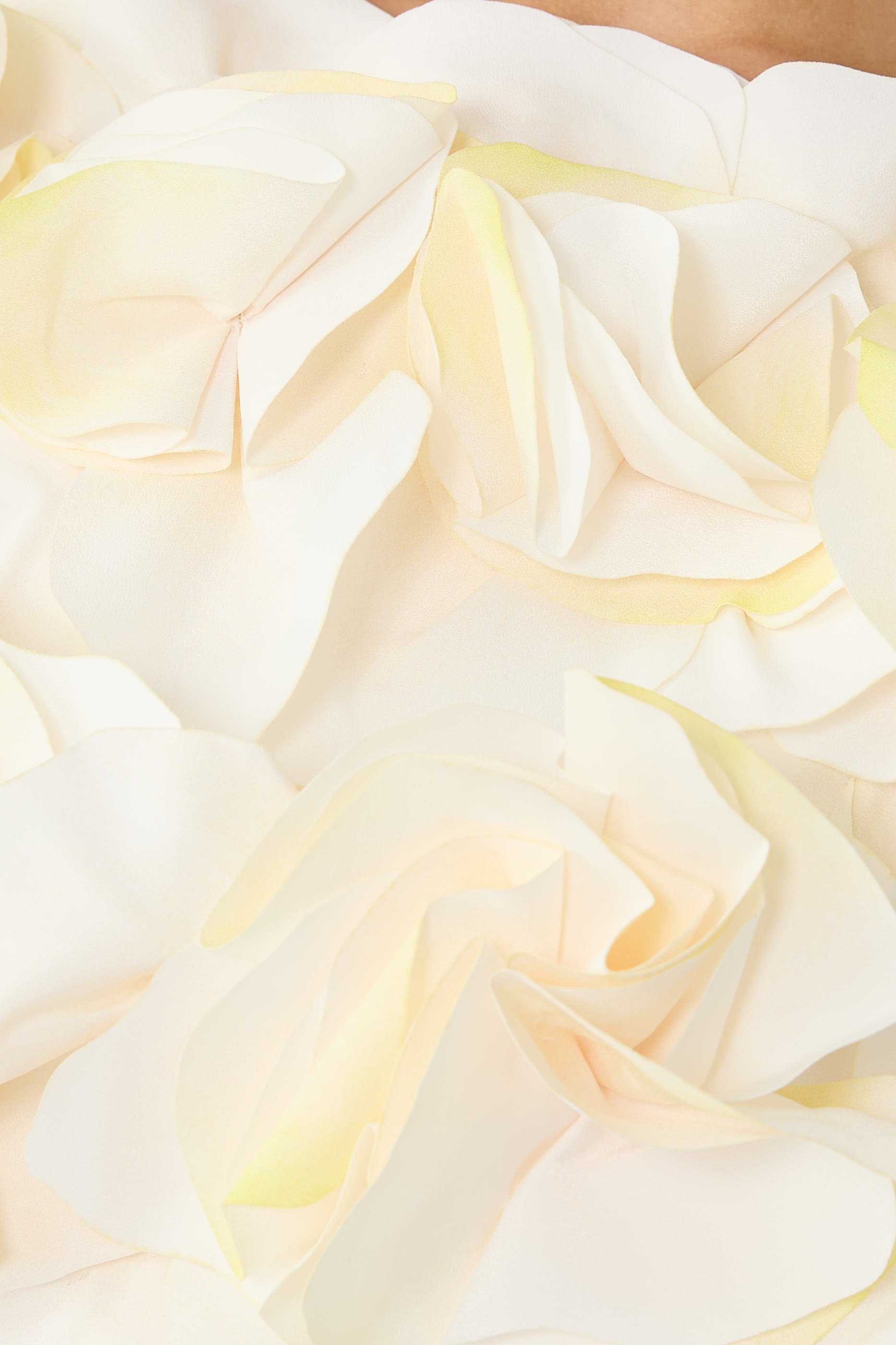 بلوزة جاكهيل