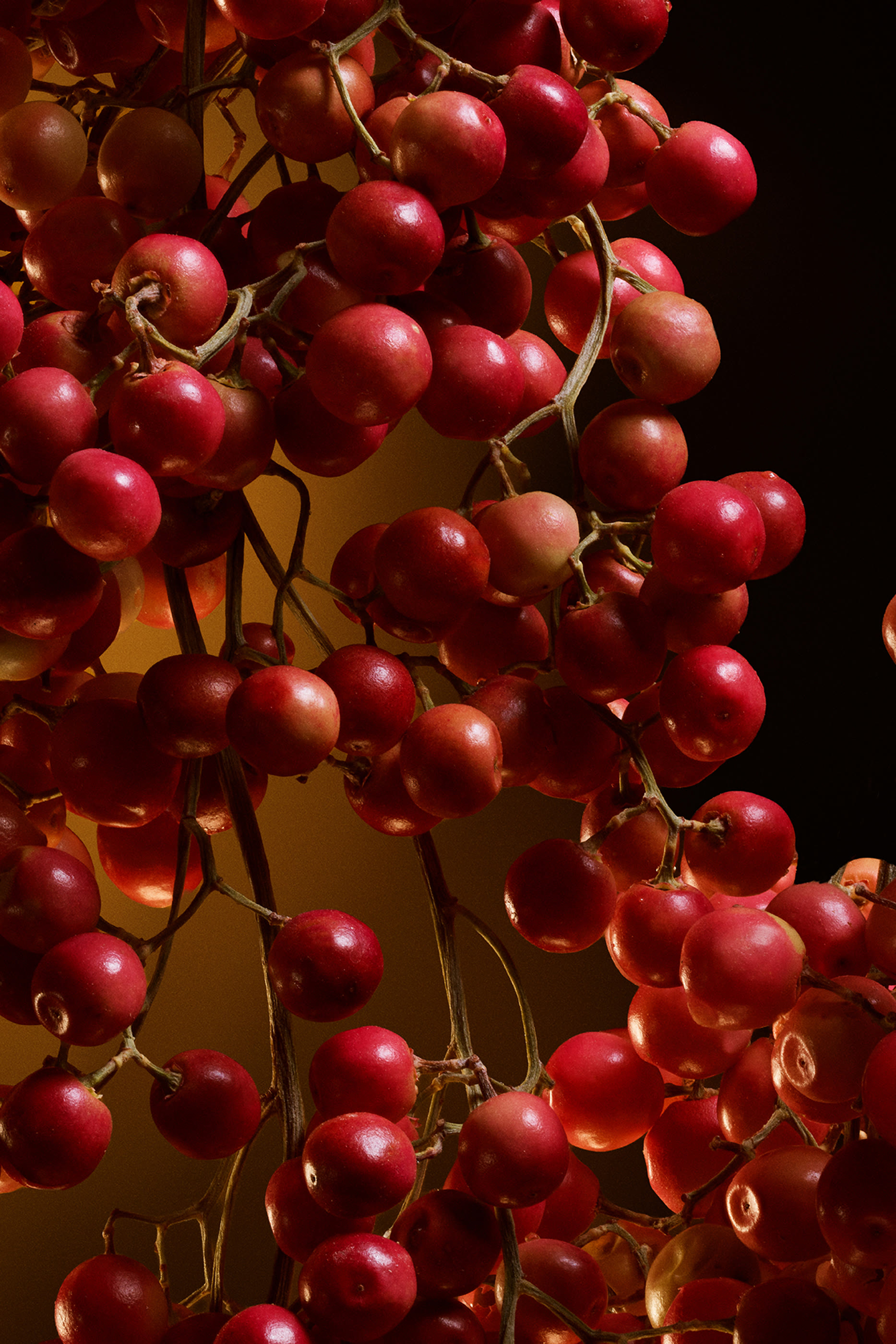 أو دو بارفان مركز ذا وان