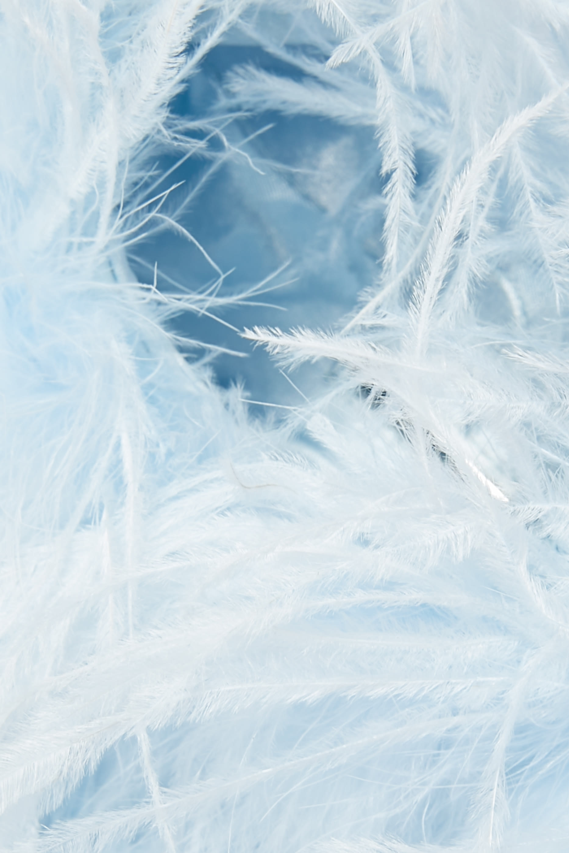 حقيبة تاليا مزينة بريش