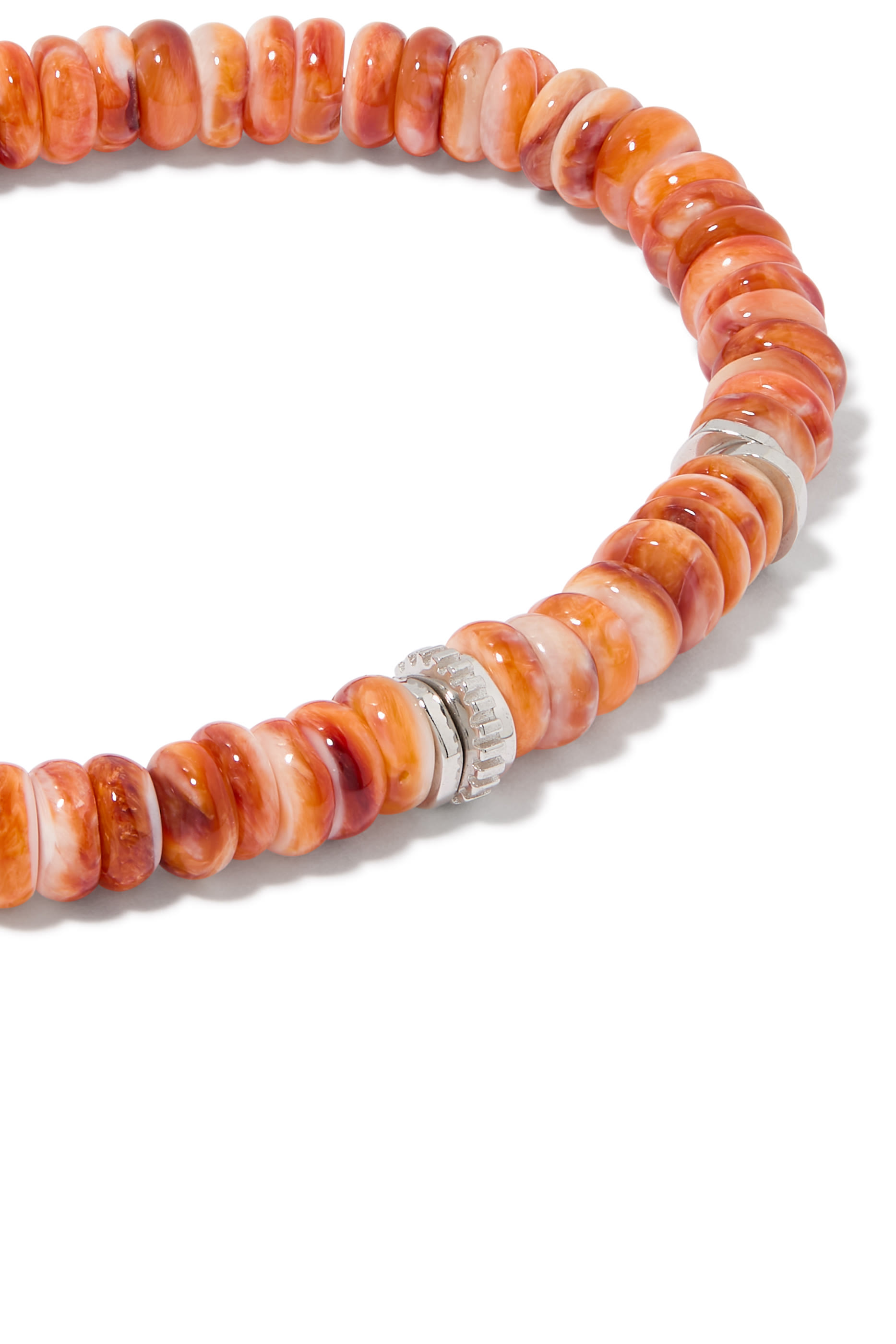 سوار سبايني أويستر