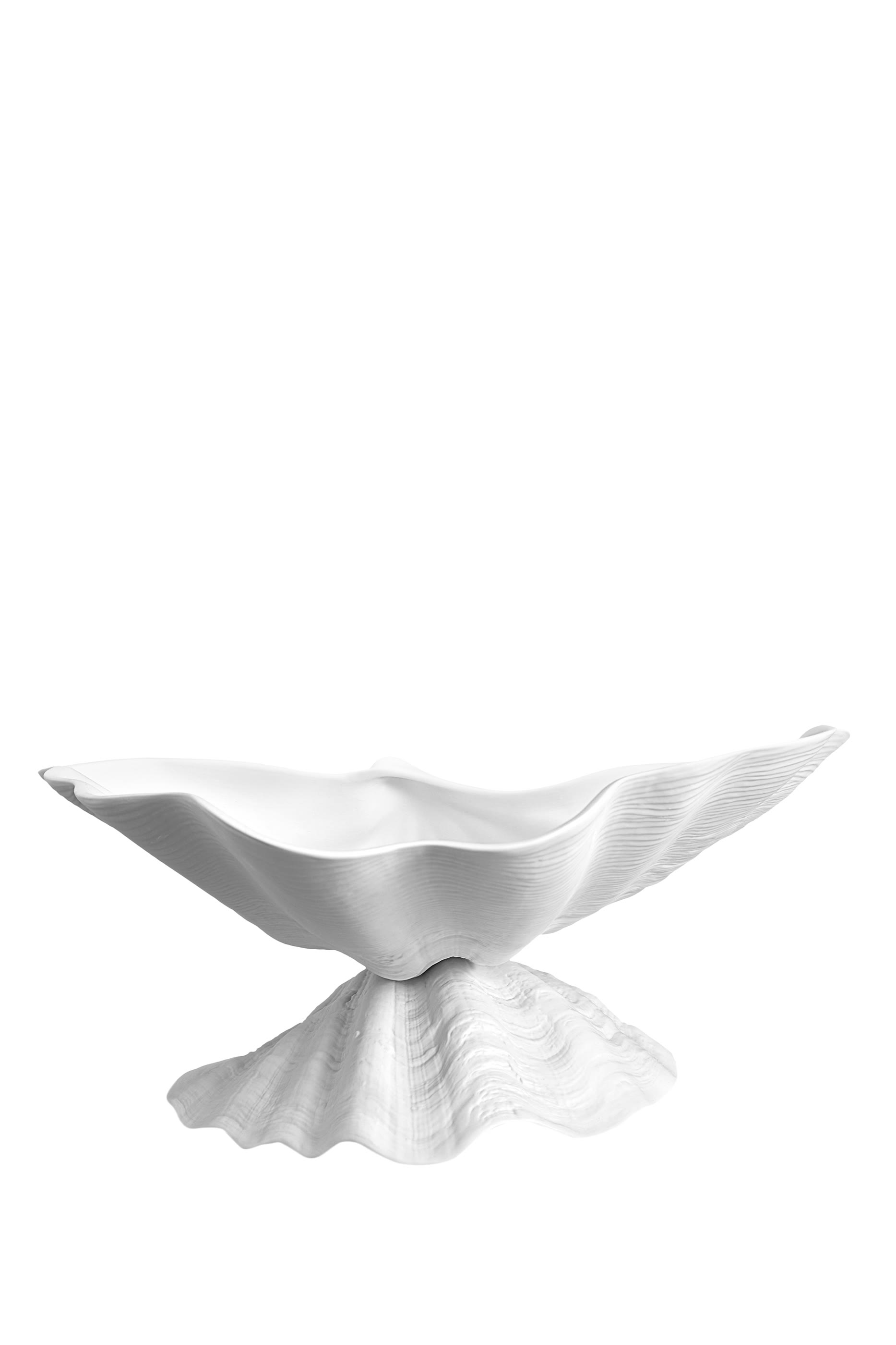 وعاء نيبتون كبير