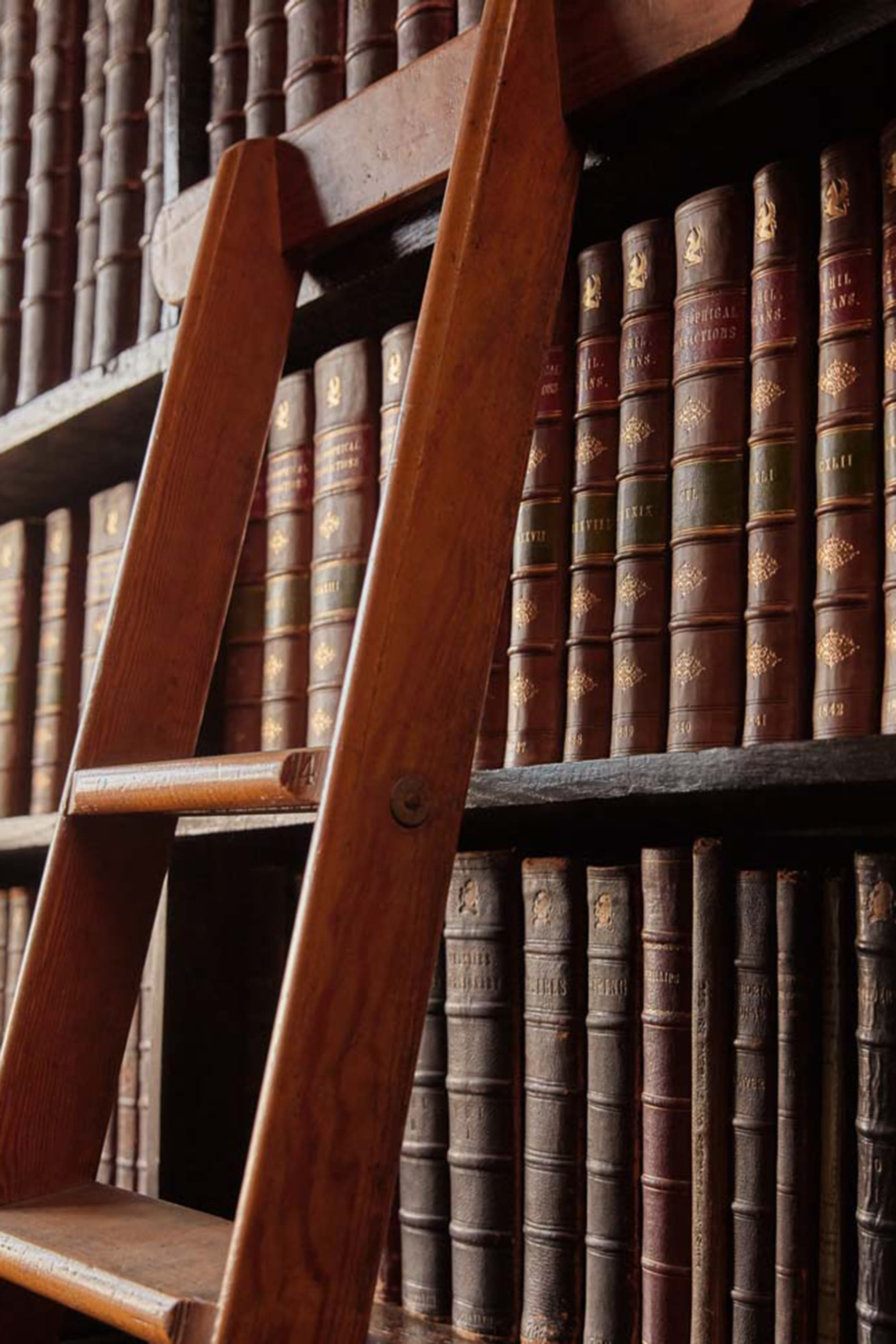 شمعة ريبليكا ويسبرز ان ذا لايبراري