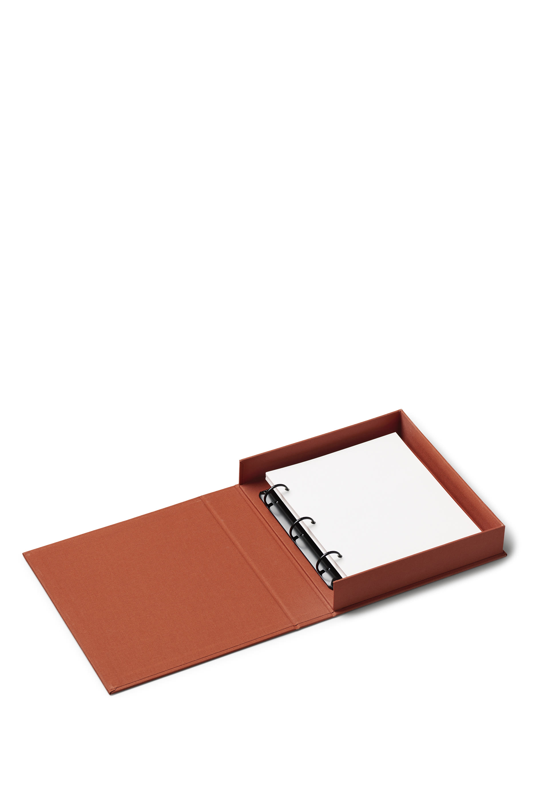 ألبوم صور ليتل مومنتس بيغ ماموريز