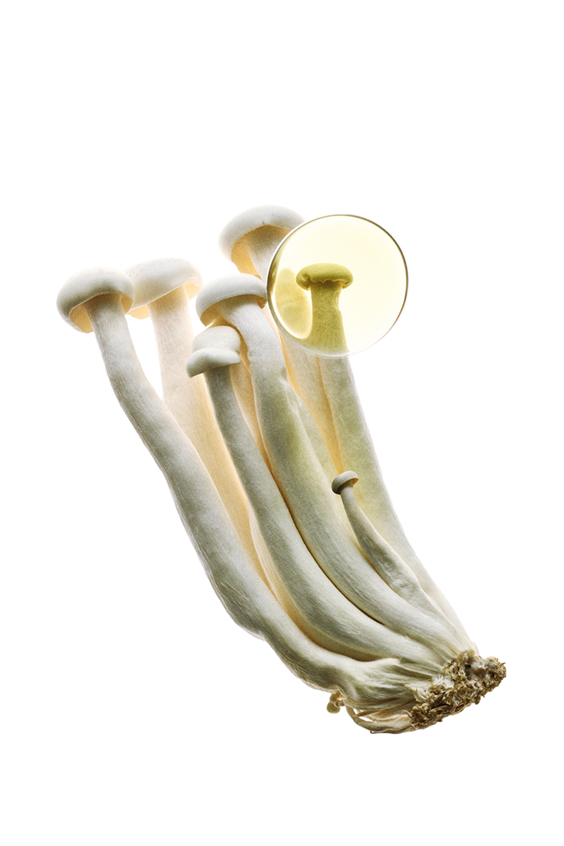 أو دو بارفان إليكسير إيرث