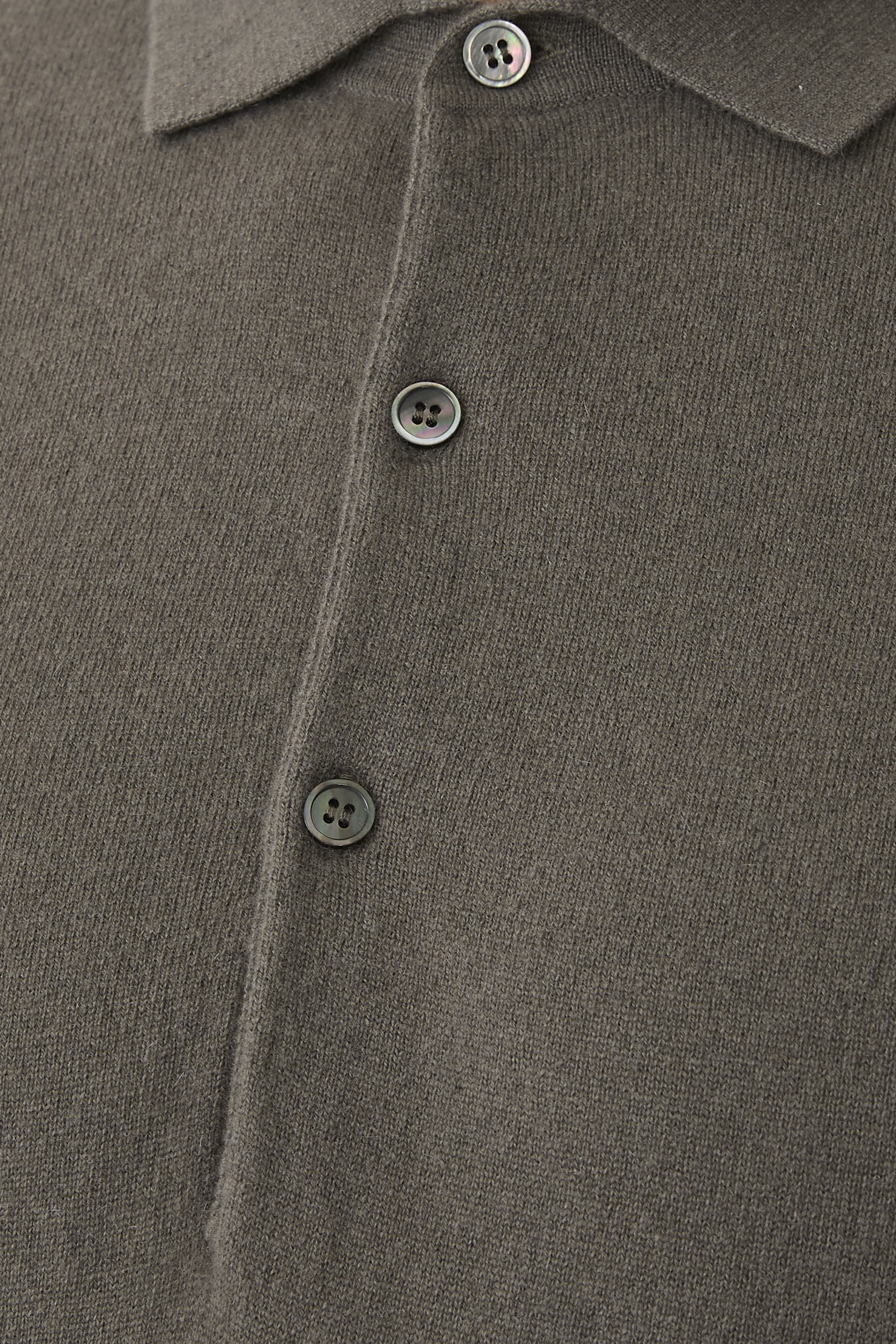 قميص بولو مستر روتشستر