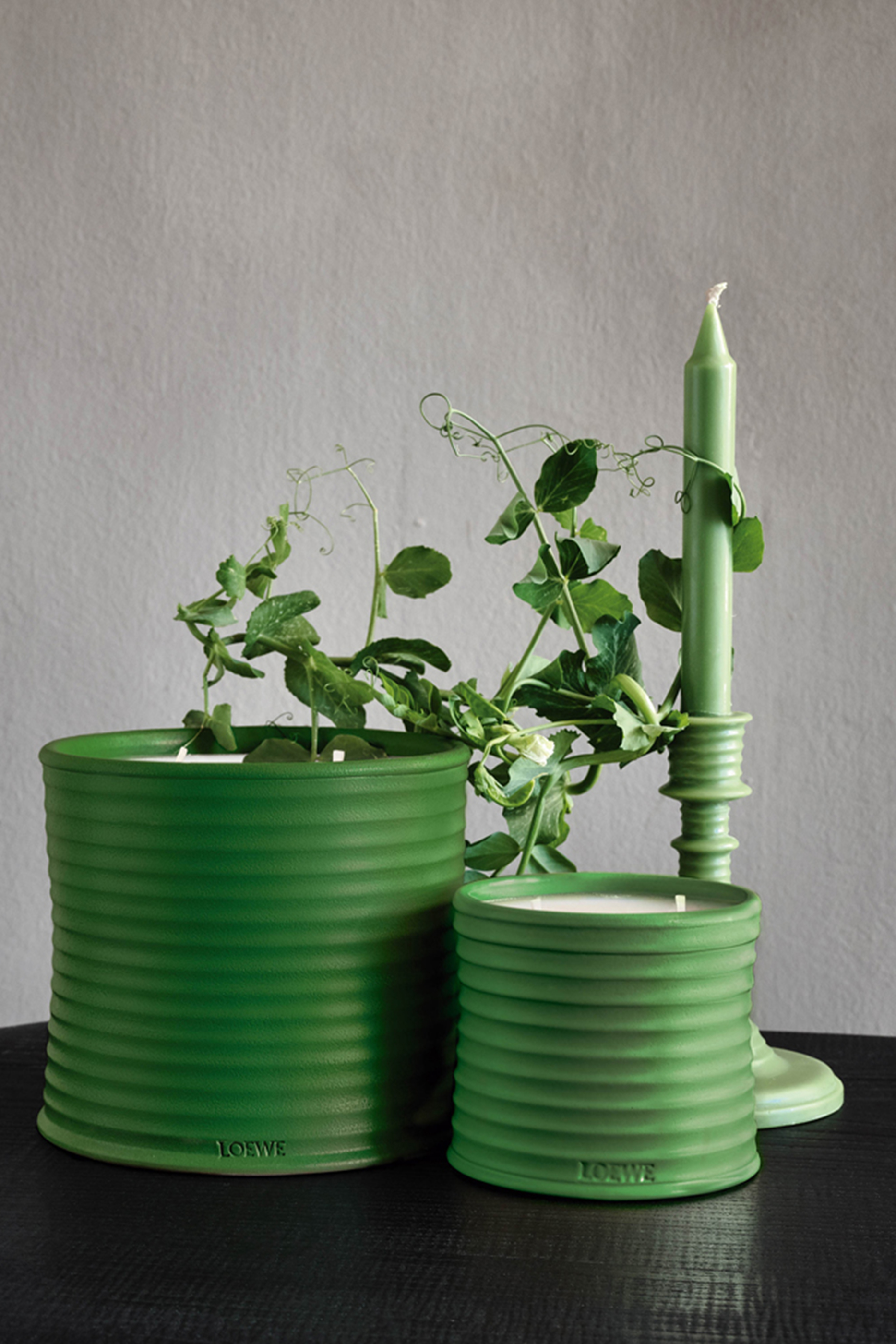 شمعة لوشيس بيي معرطة