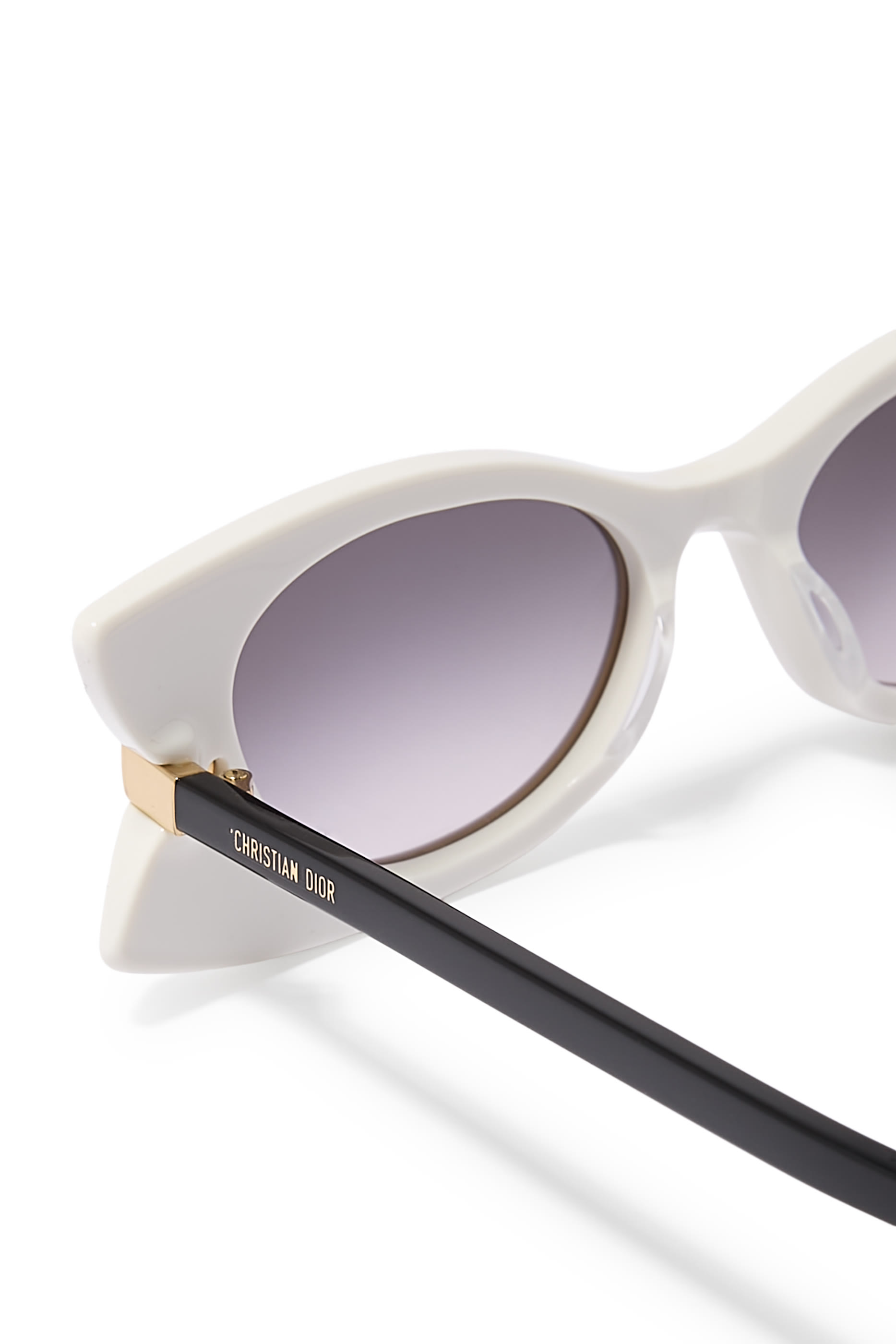 DiorButterfly S2I Transparent Rectangular Sunglasses