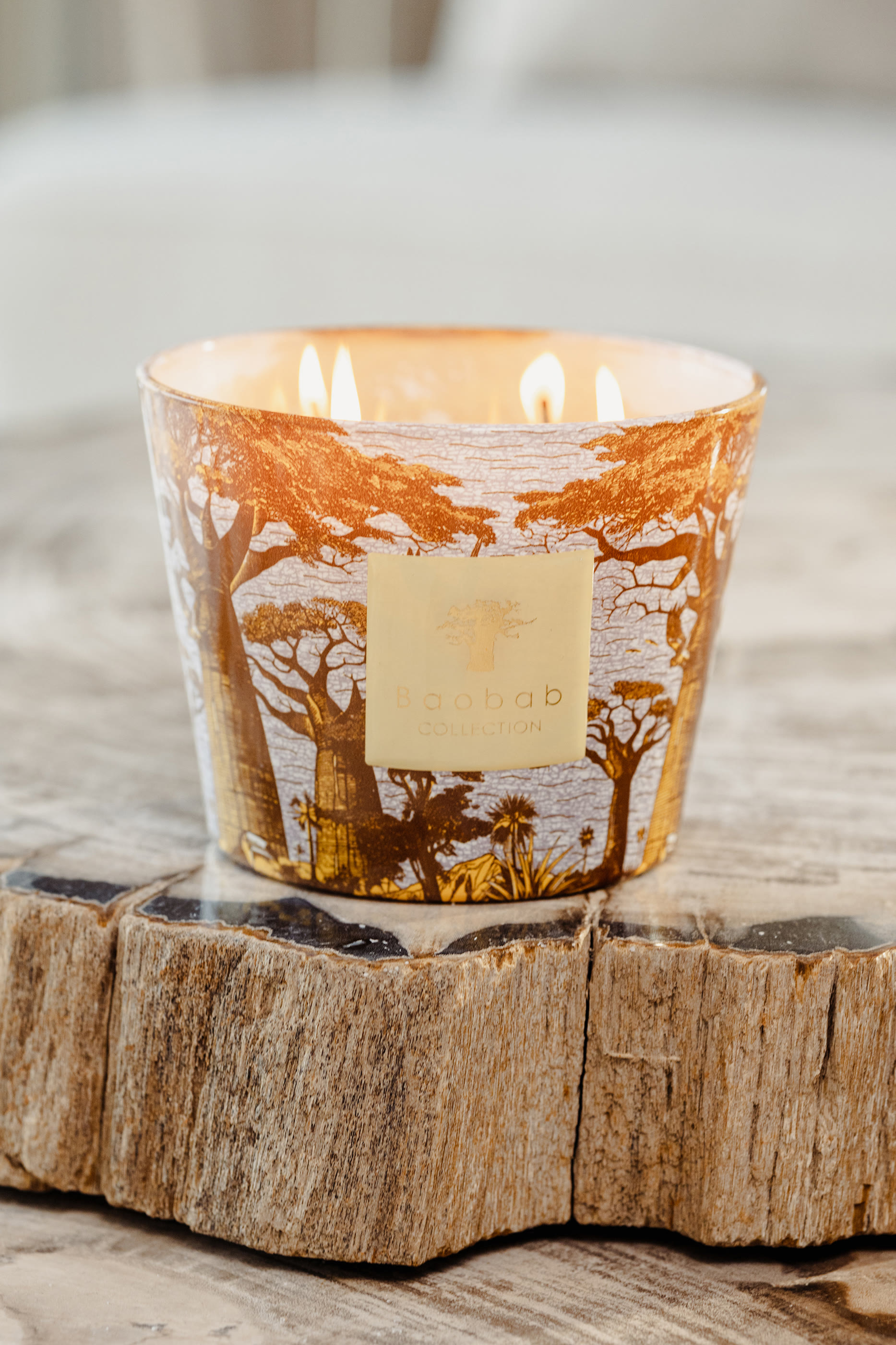 شمعة ماكس 35 ساكرد تريز كوودي