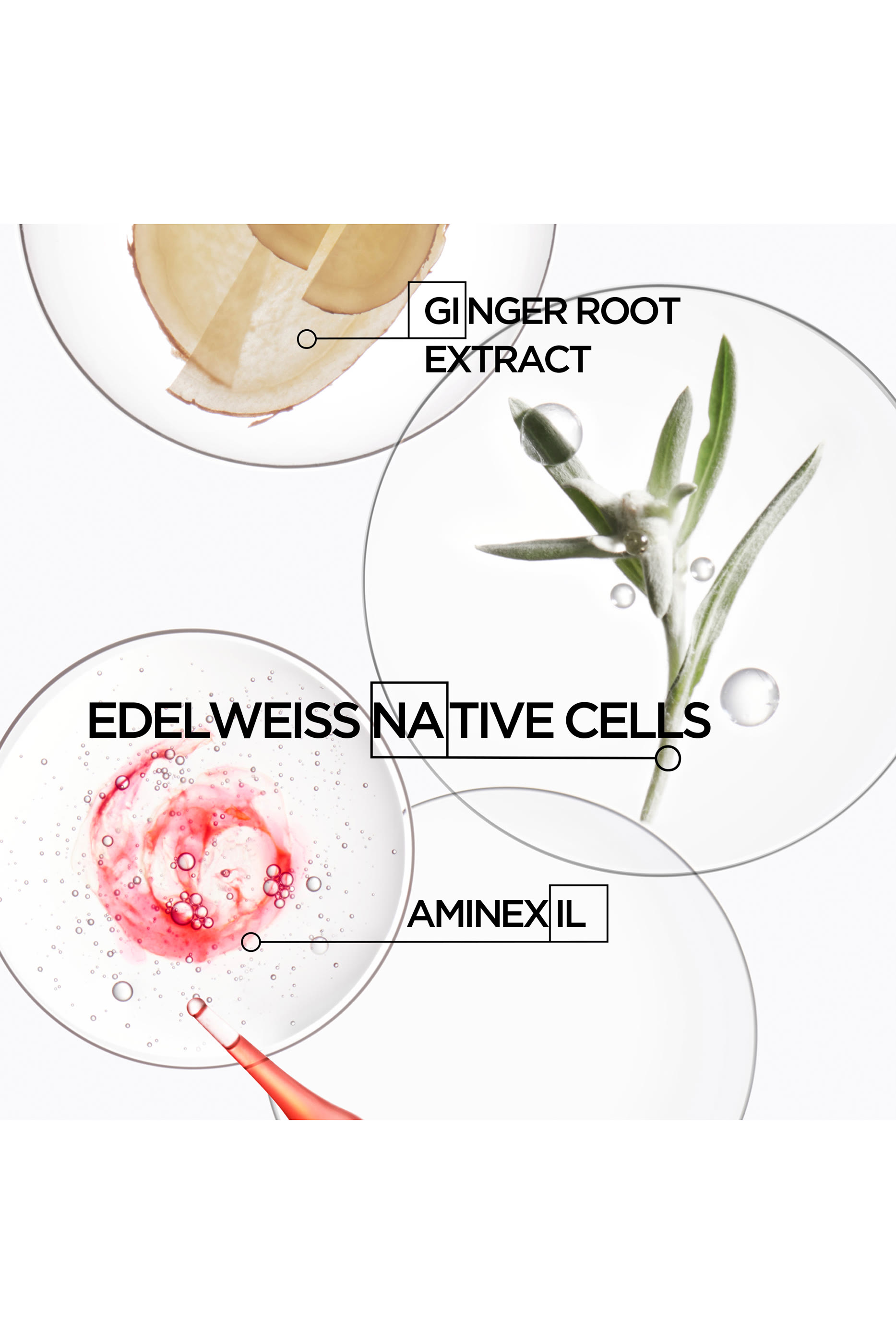 سيروم جينيسيس لفروة الرأس مضاد لتساقط الشعر