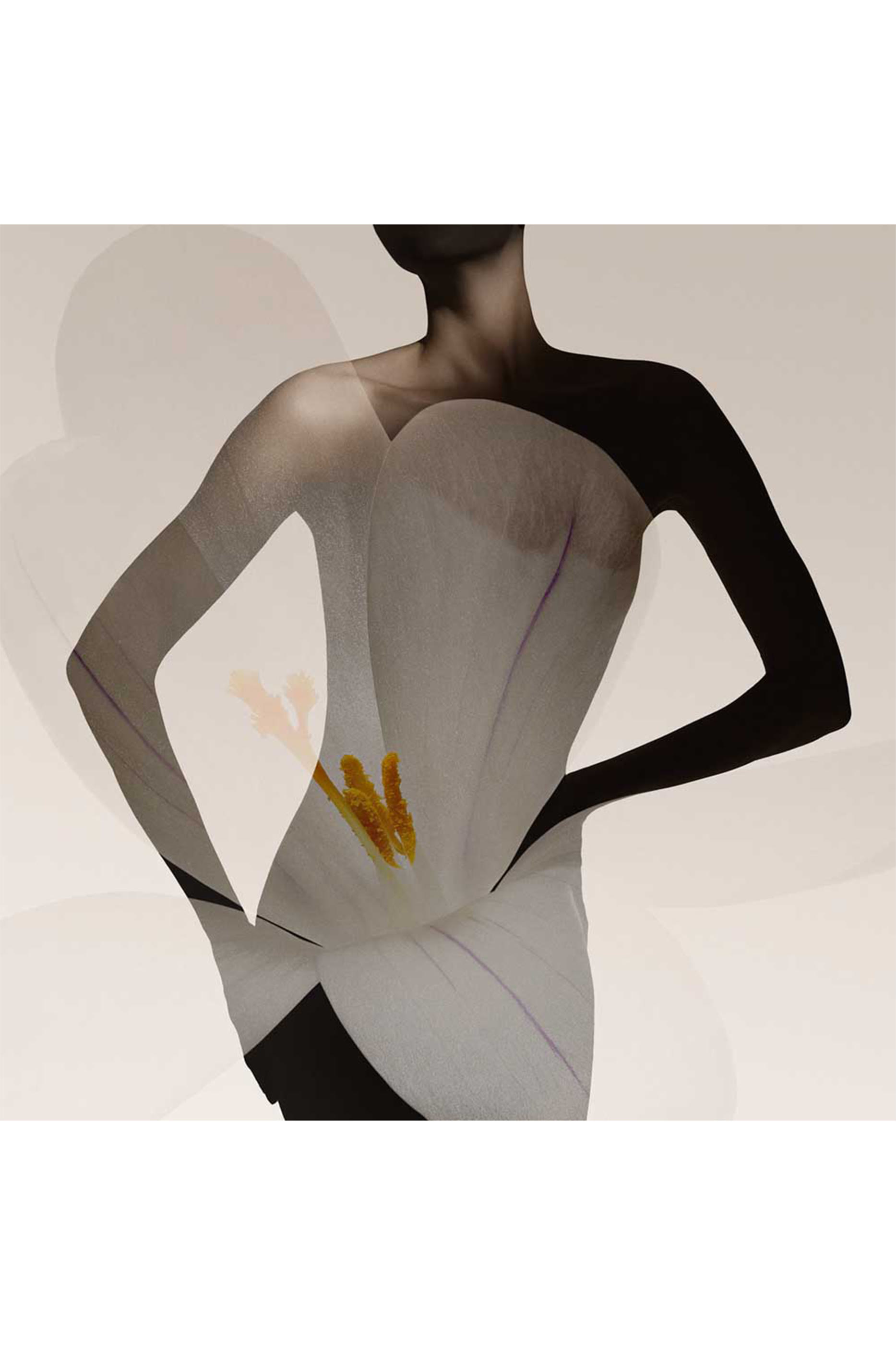 أو و بارفان بريفيه عود ناكري