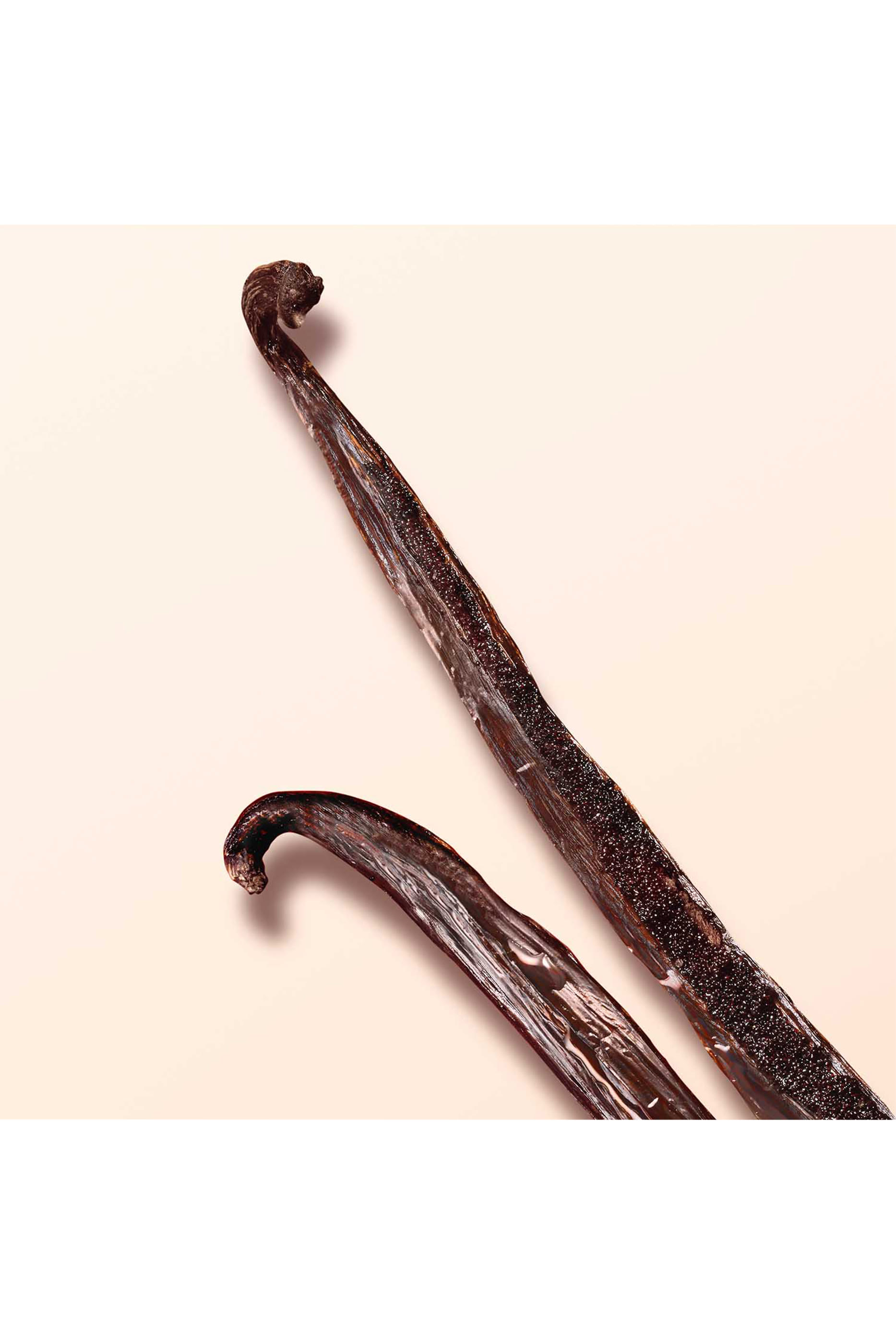 أو دو بارفان سي نود بلوم