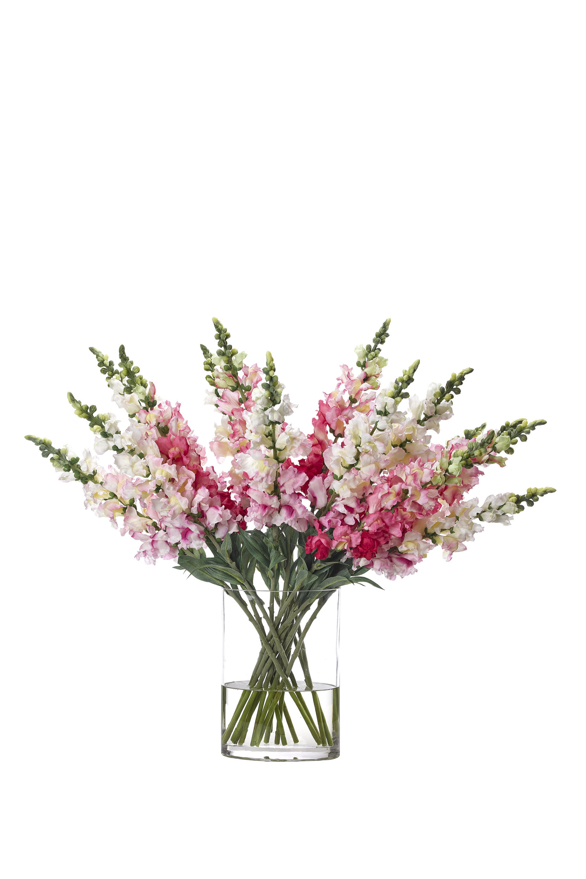 باقة زهور سناب دراجون بتصميم حديقة  مائية اصطناعية