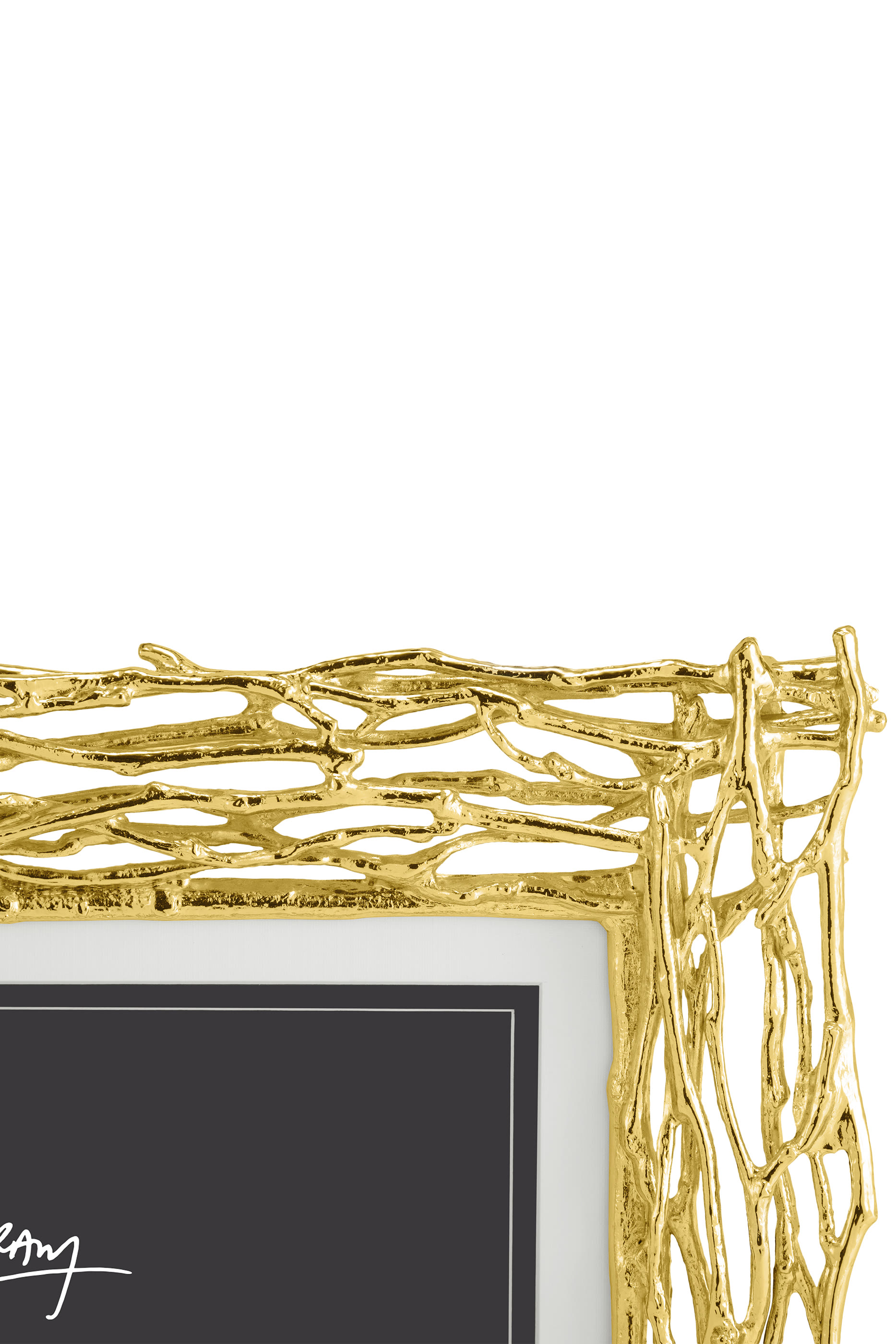 إطار مزين بغصن