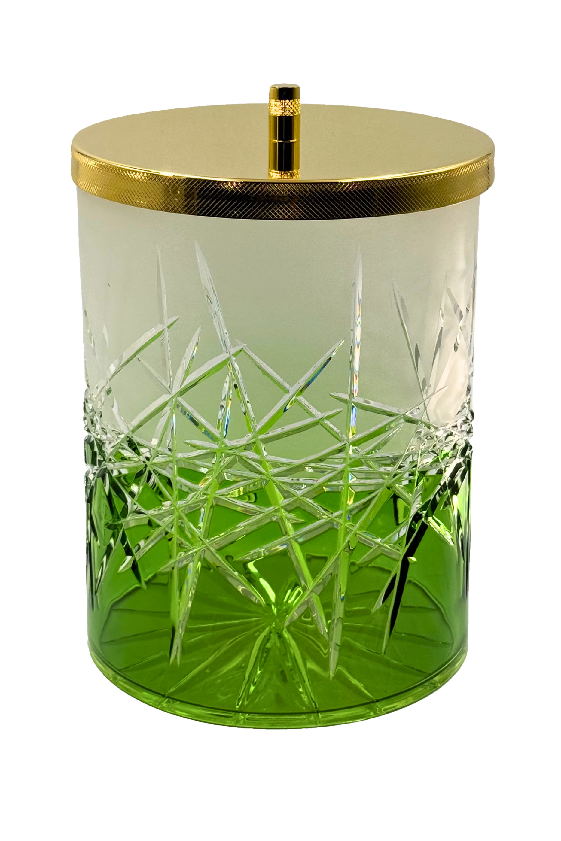 سلة مهملات آيفي أخضر