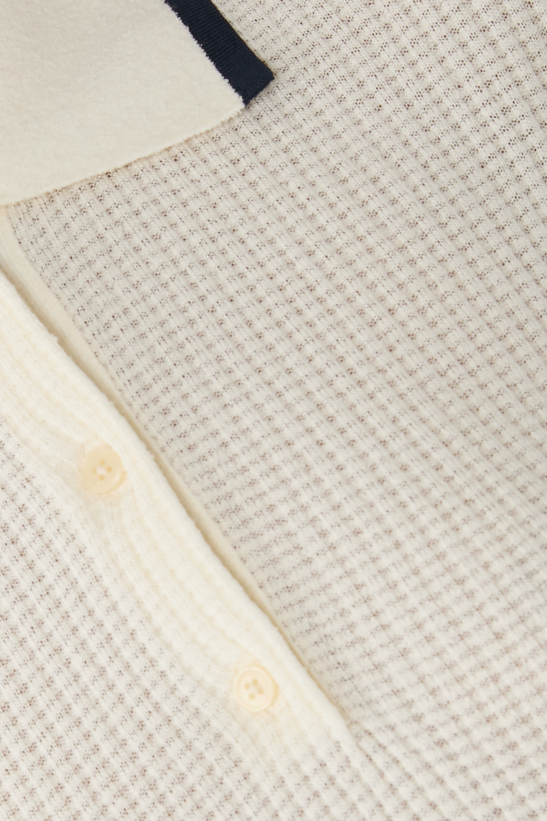 قميص بولو وايتن