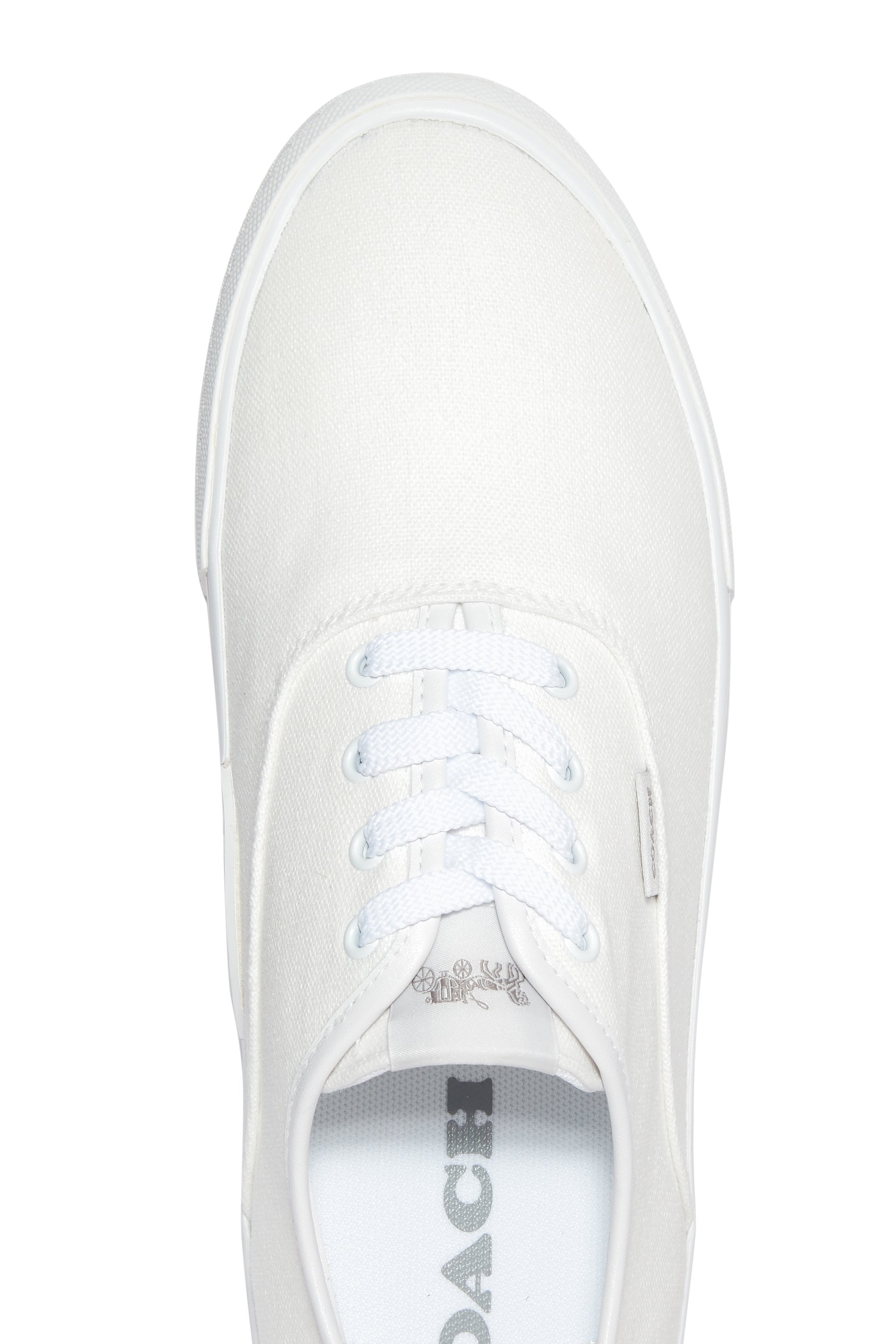 سنيكرز سيتي سول سكيت قماش قنب