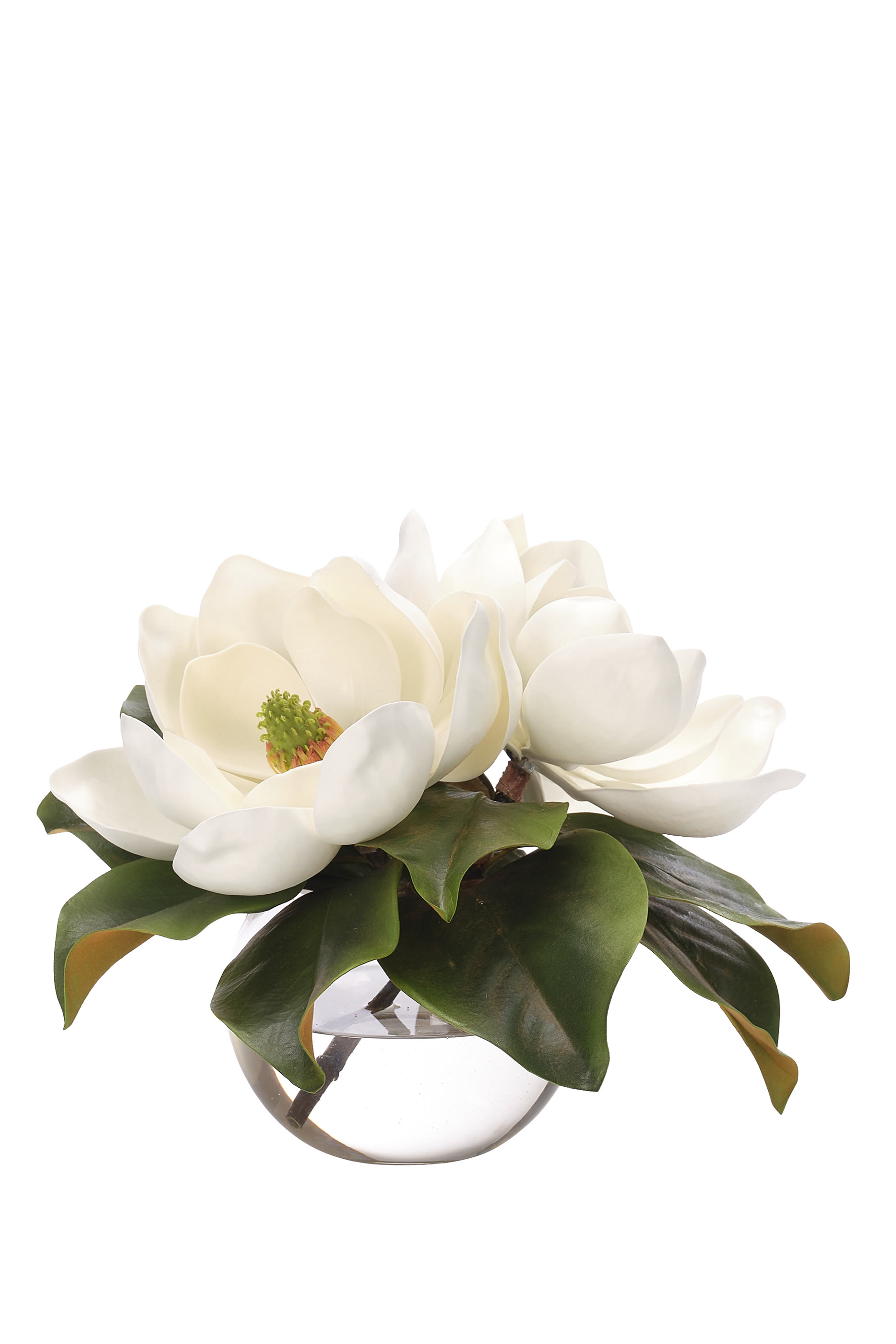 باقة زهور ماغنوليا بتصميم حديقة مائية اصطناعية