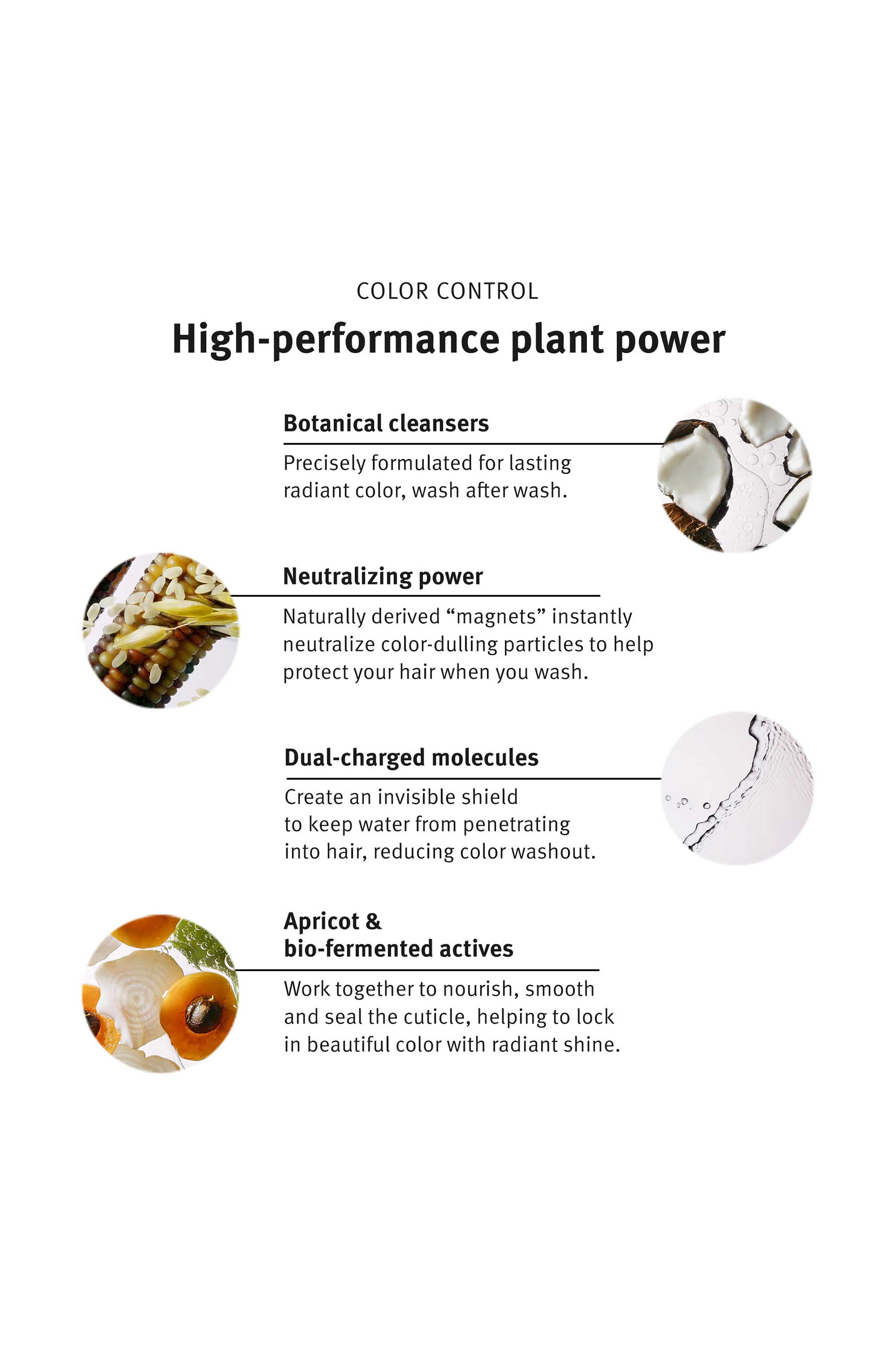 شامبو كولور كنترول