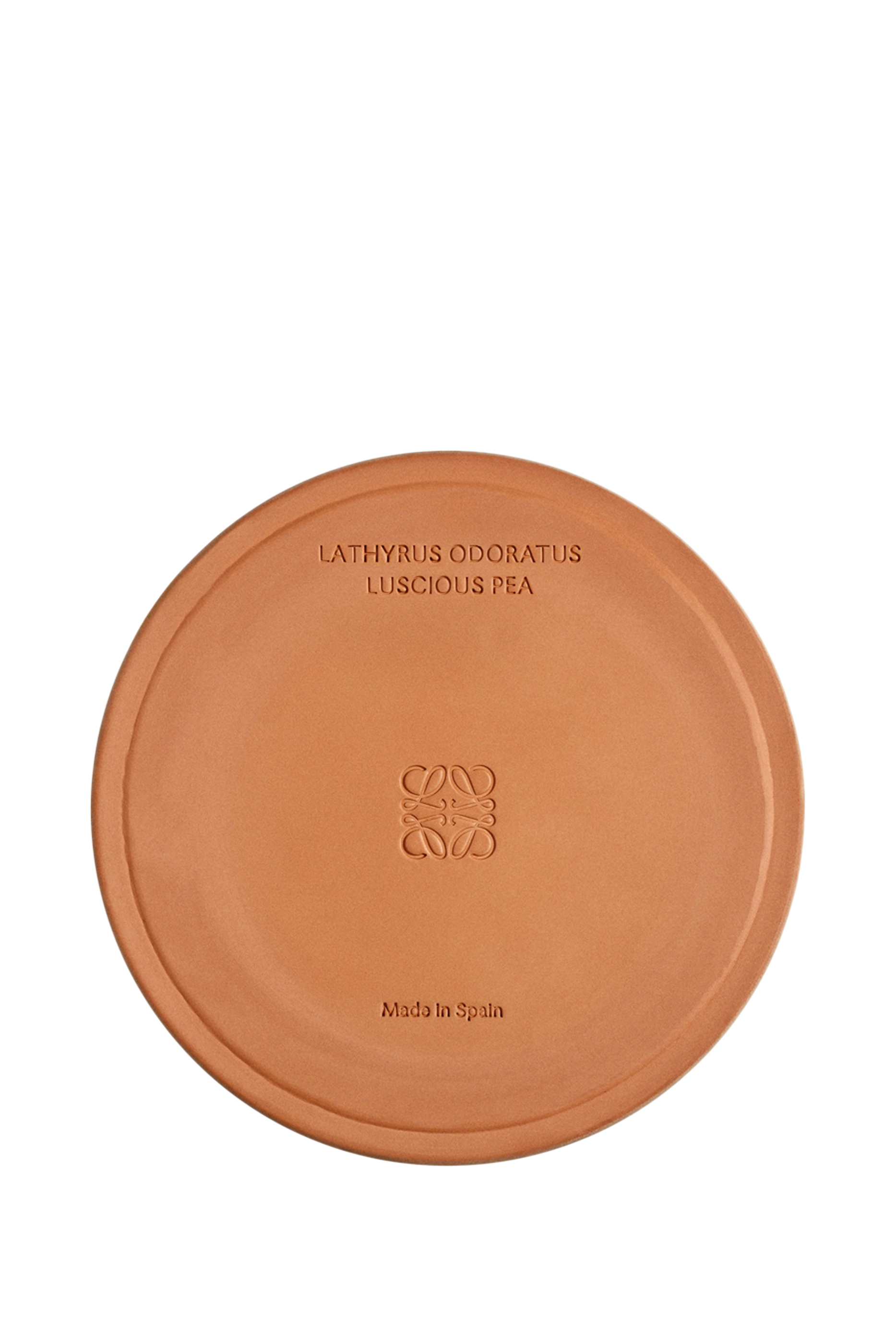 شمعة لوشيس بيي معرطة