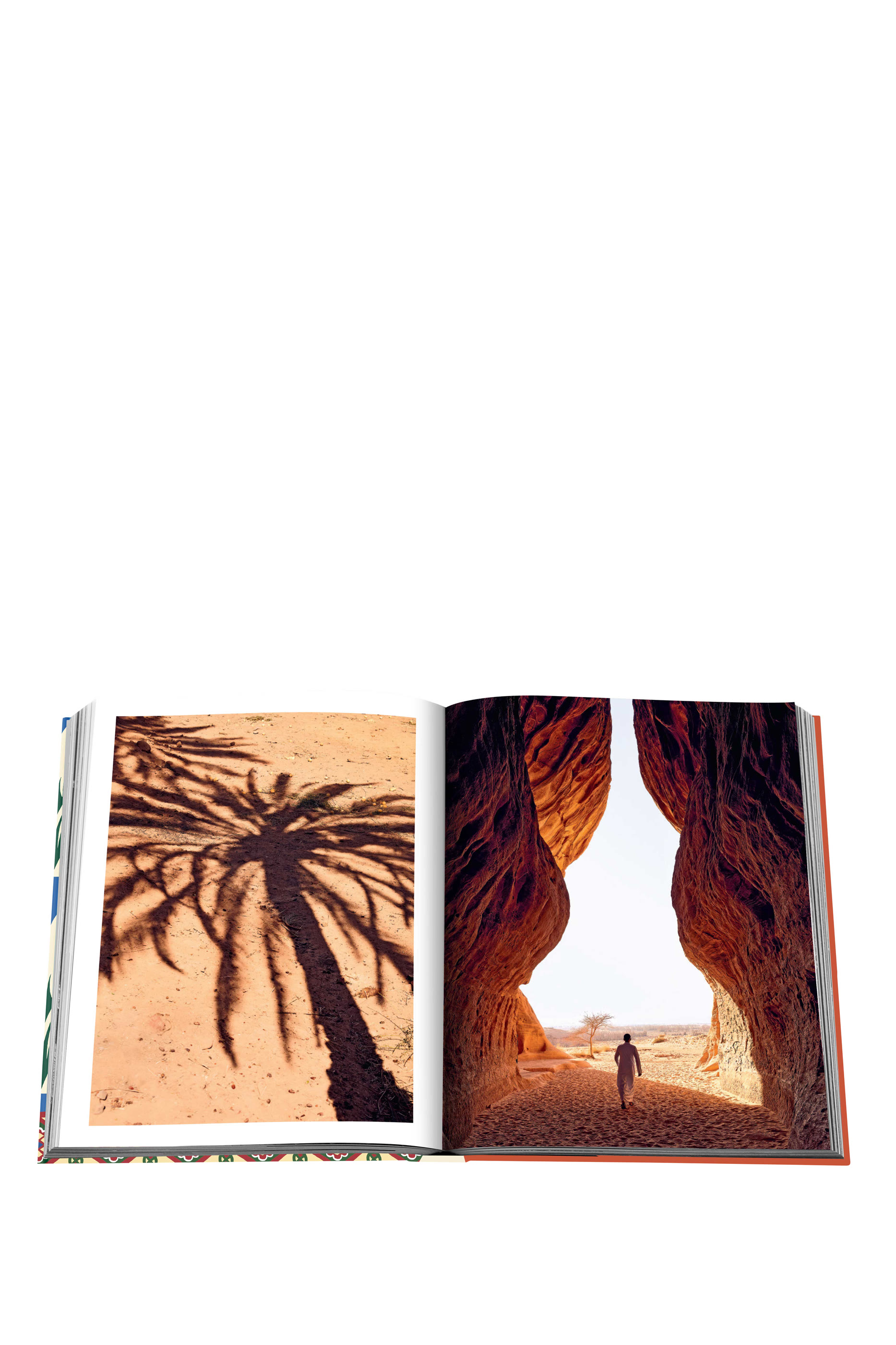 كتاب تمور السعودية: صورة عن الثمرة المقدسة