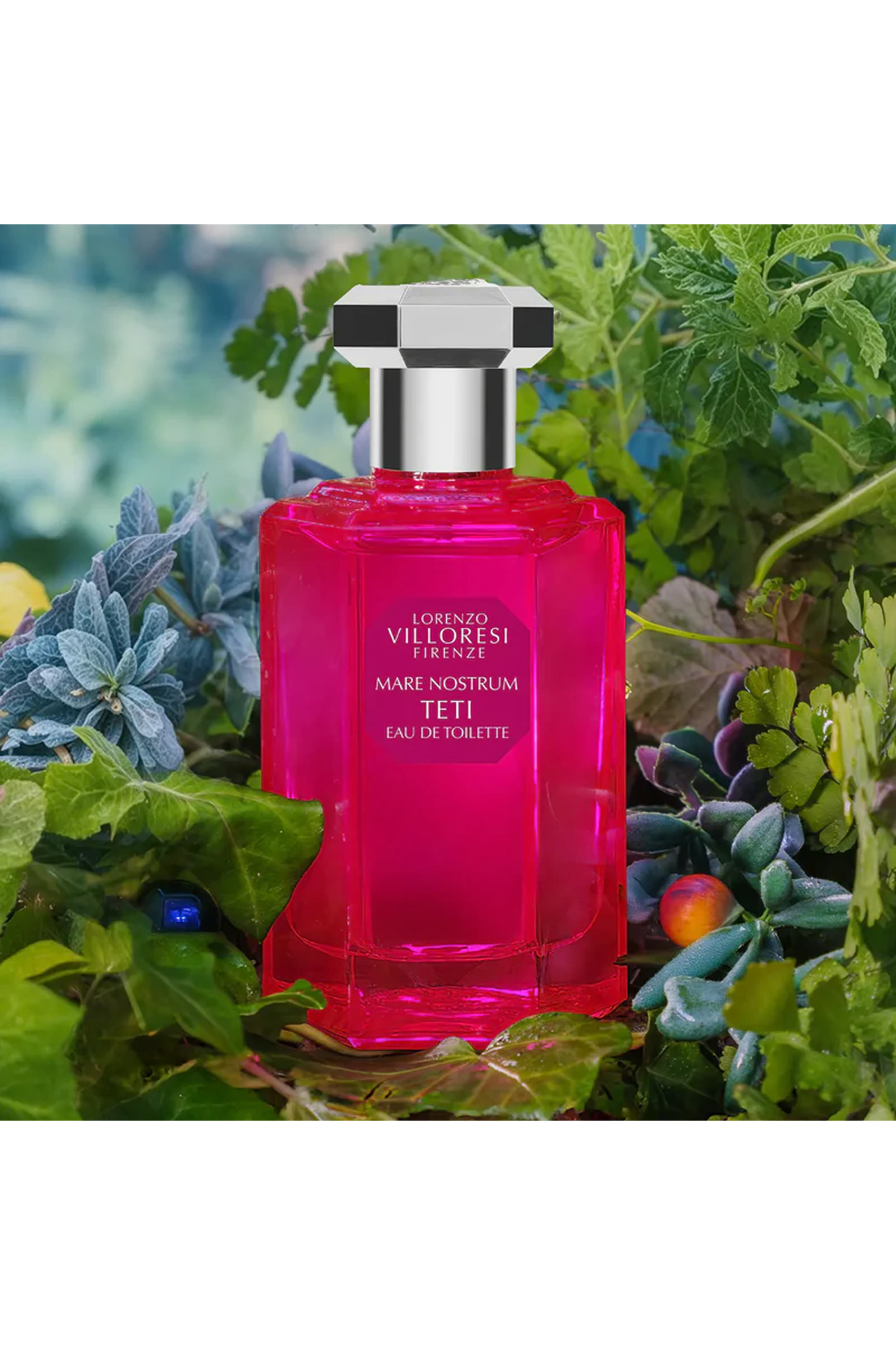 أو دو تواليت ماري نوستروم تيتي