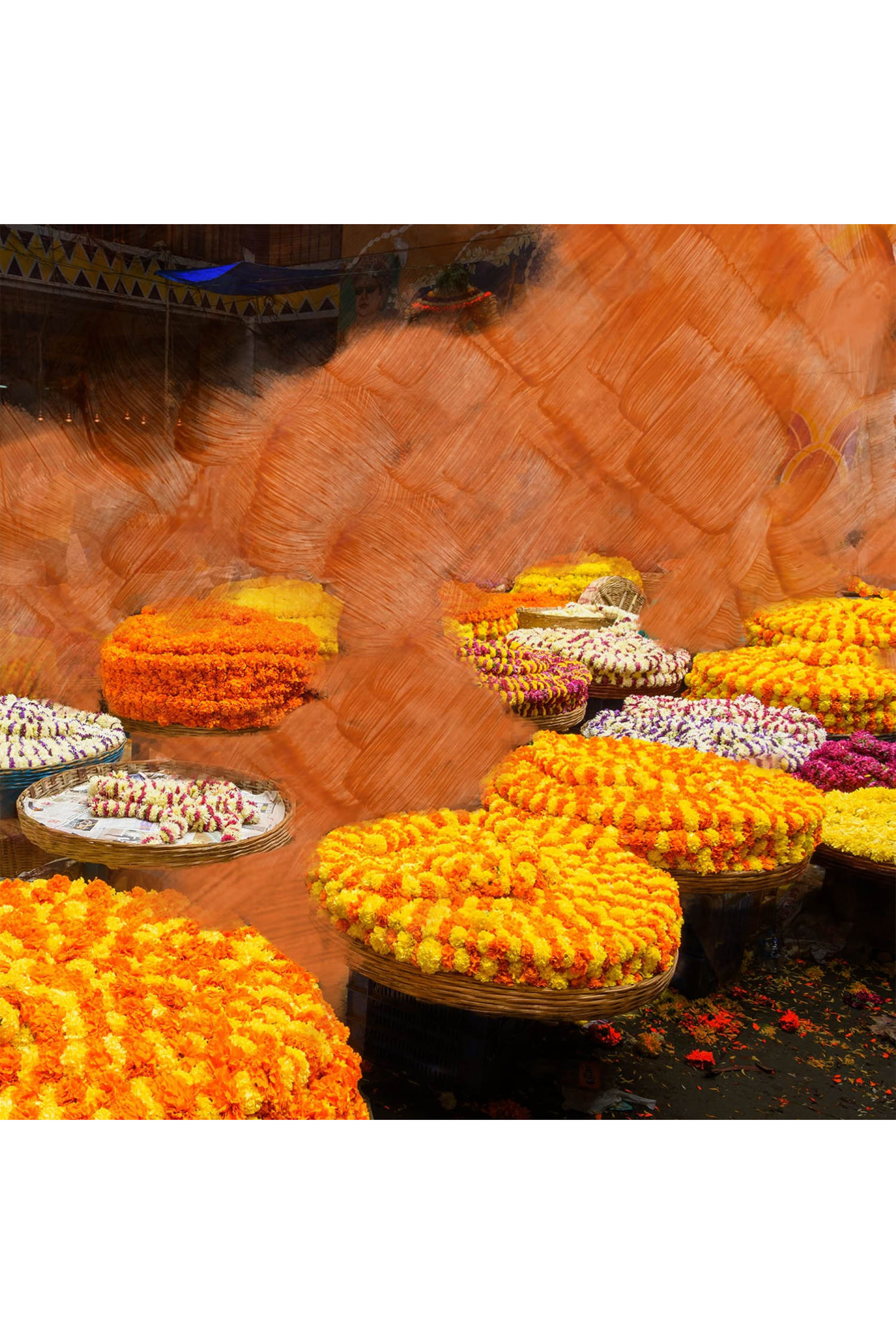 أو دو بارفان بلاك سافرون