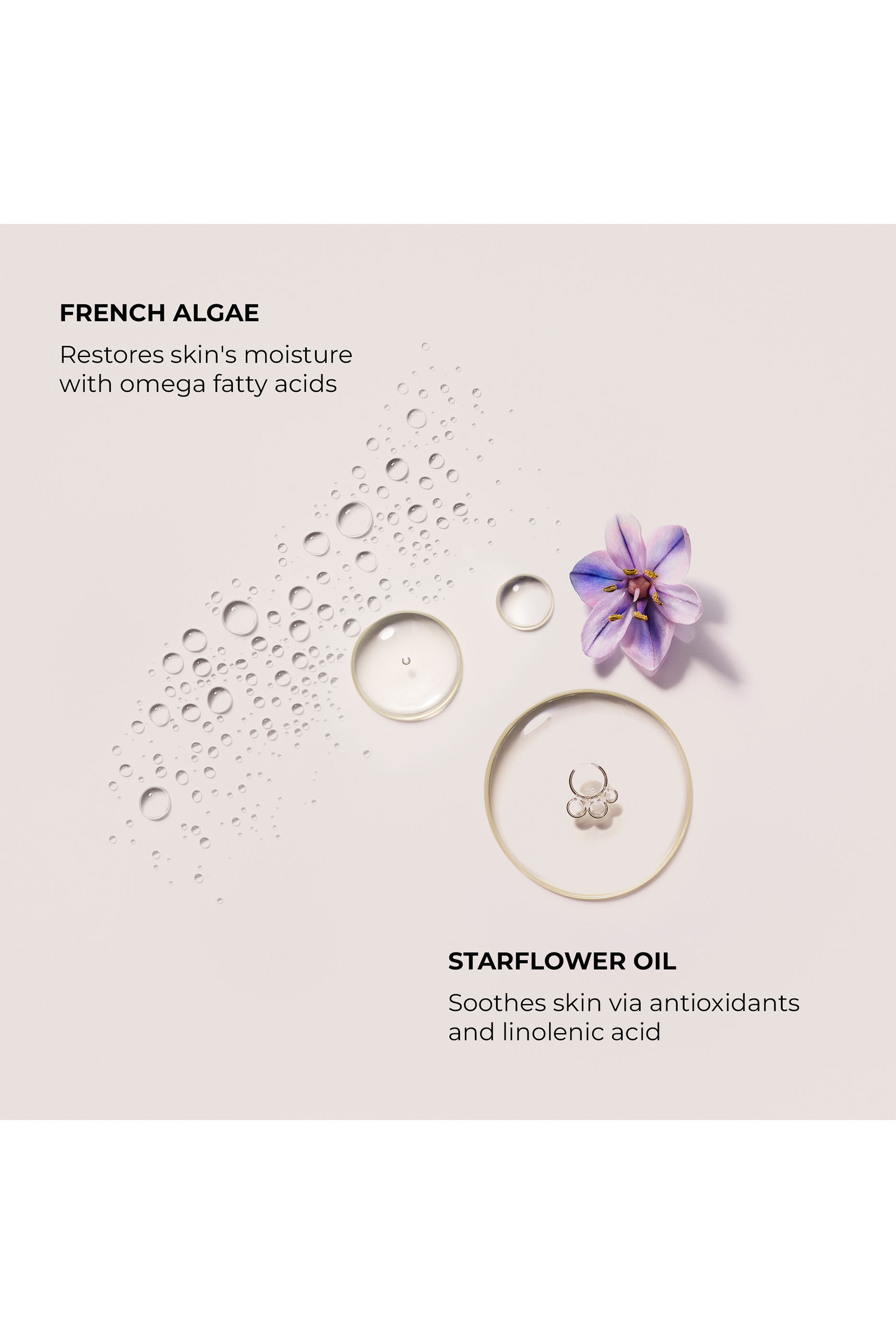 كريم سيروم أمبر فانيل للجسم، 200 ملل