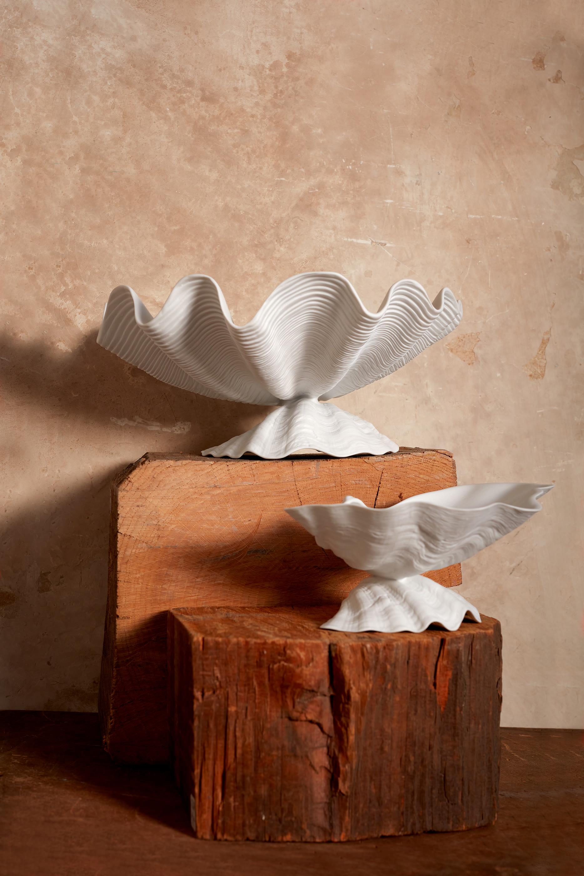 وعاء نيبتون كبير