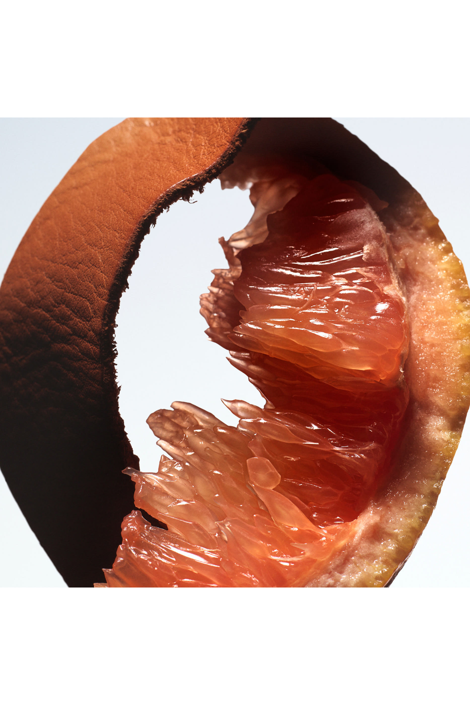 أو دو بارفان بيتر سبلاش