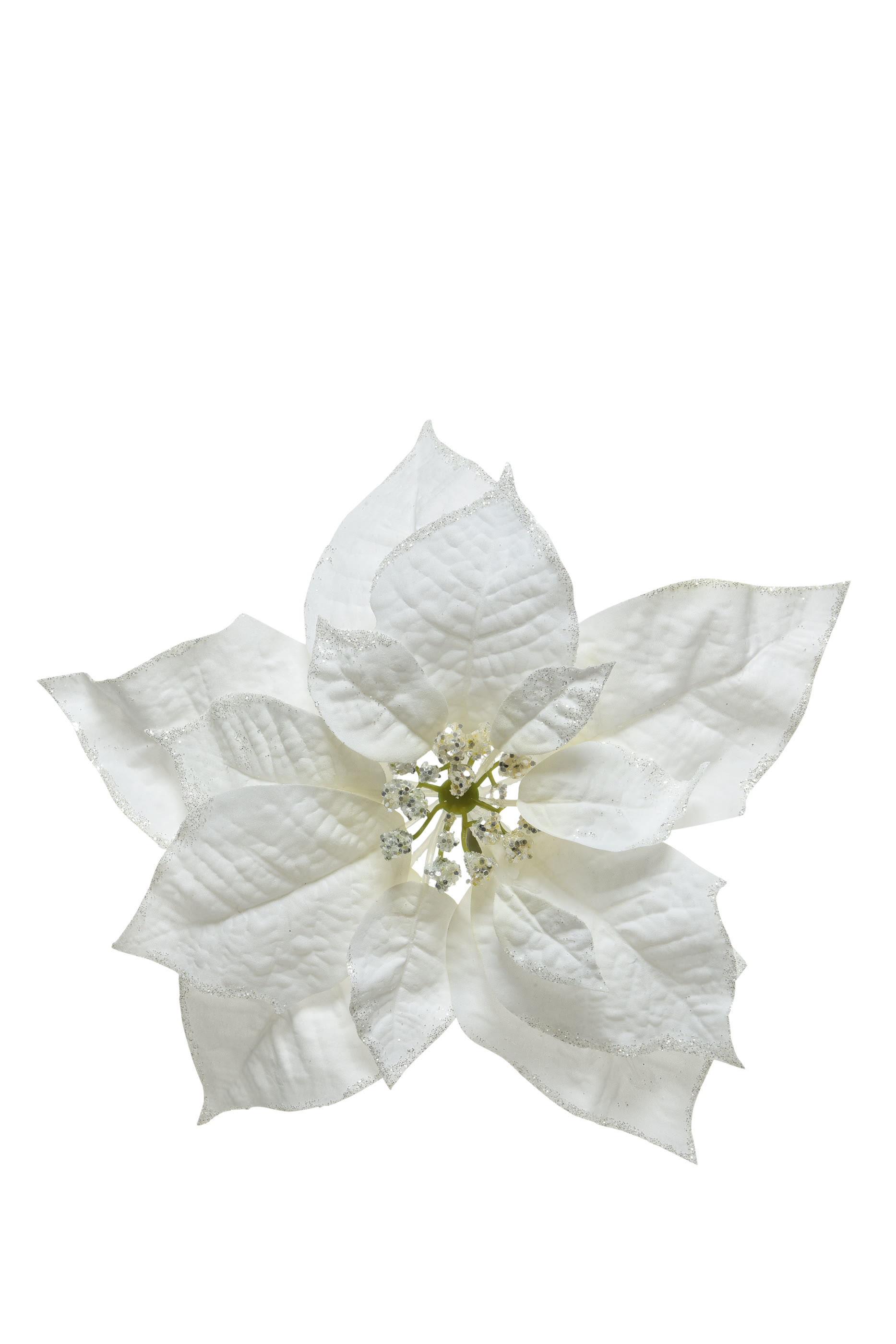 زينة بتصميم زهرة بوينسيتيا بمشبك